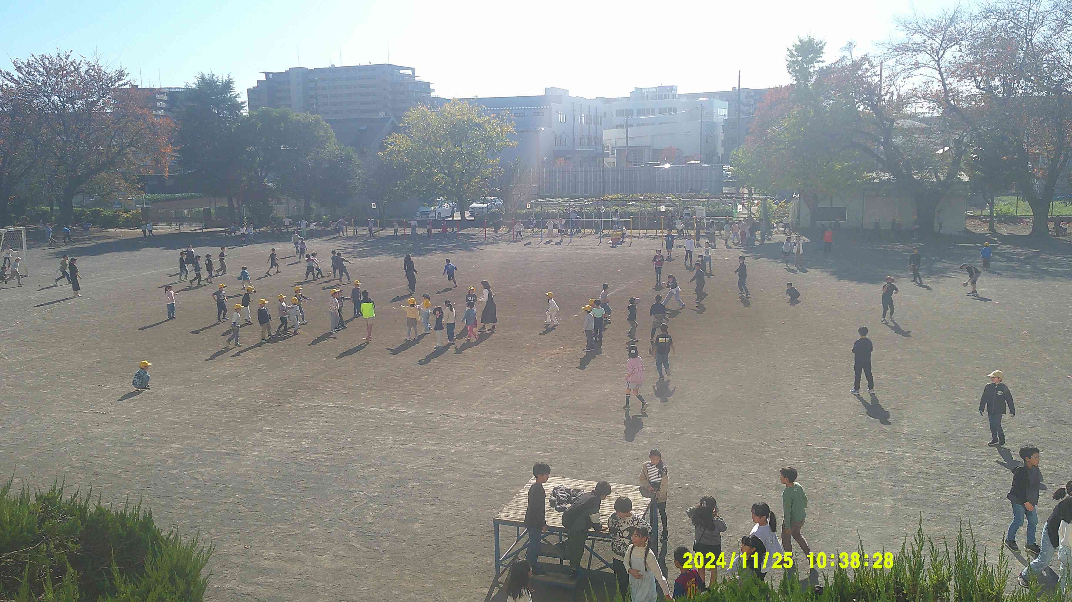 DSCF0651