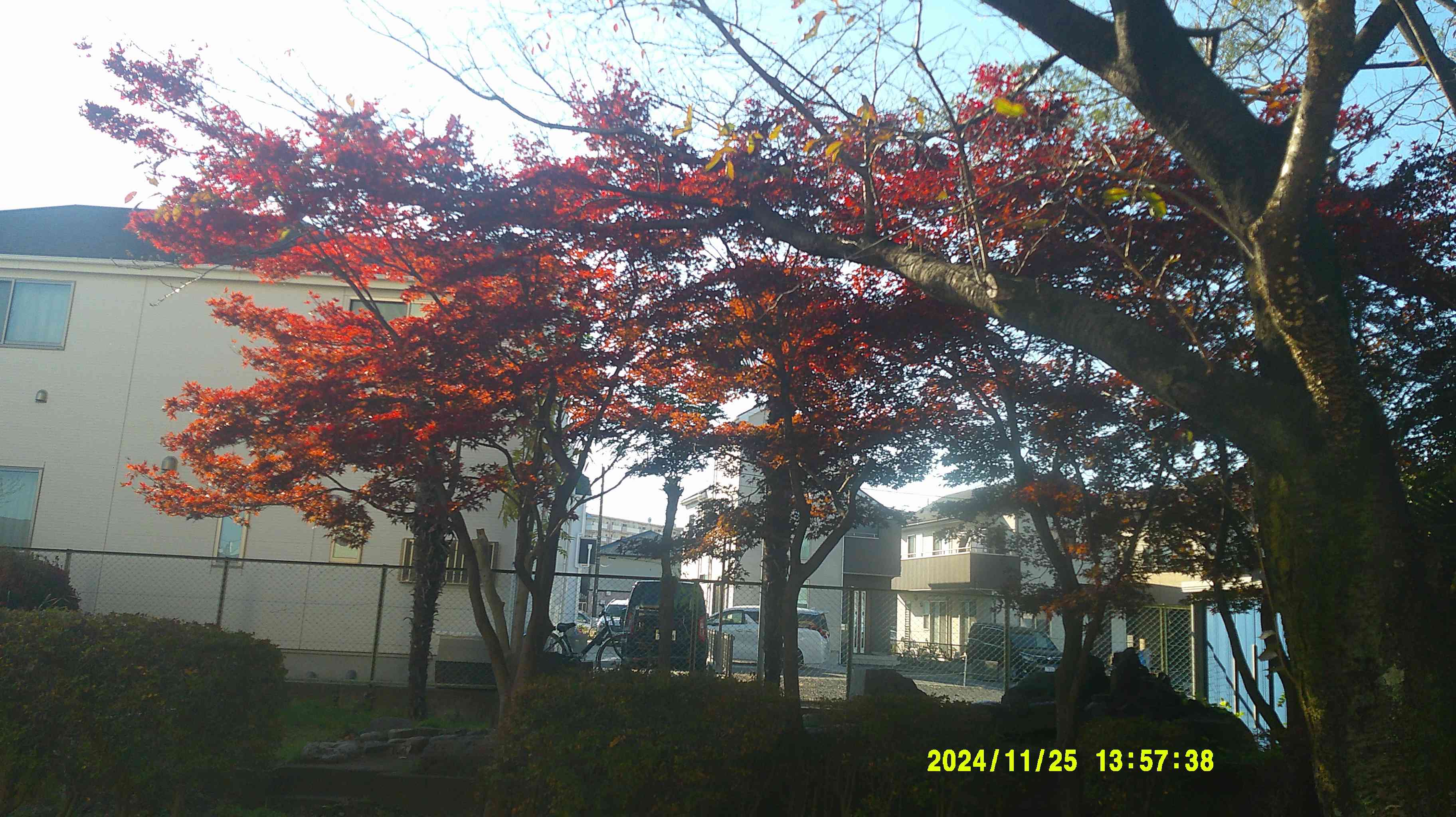 DSCF0654
