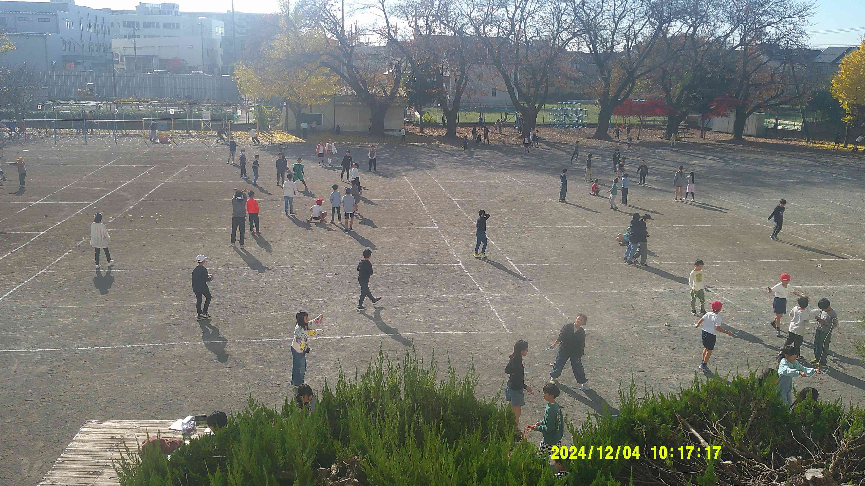 DSCF0687