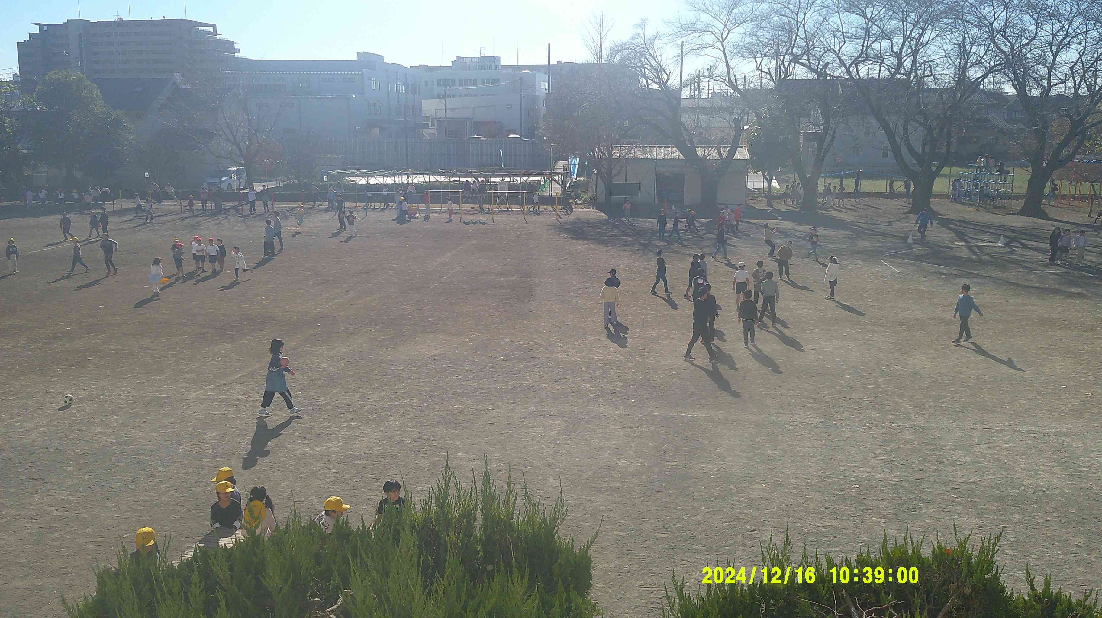 DSCF0795