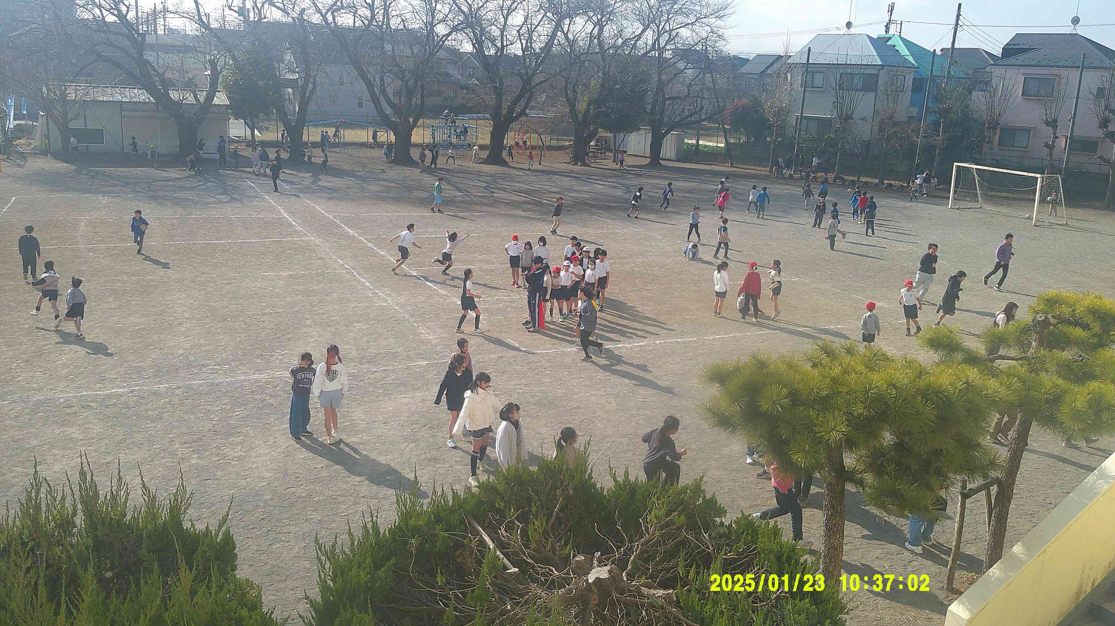 DSCF0989