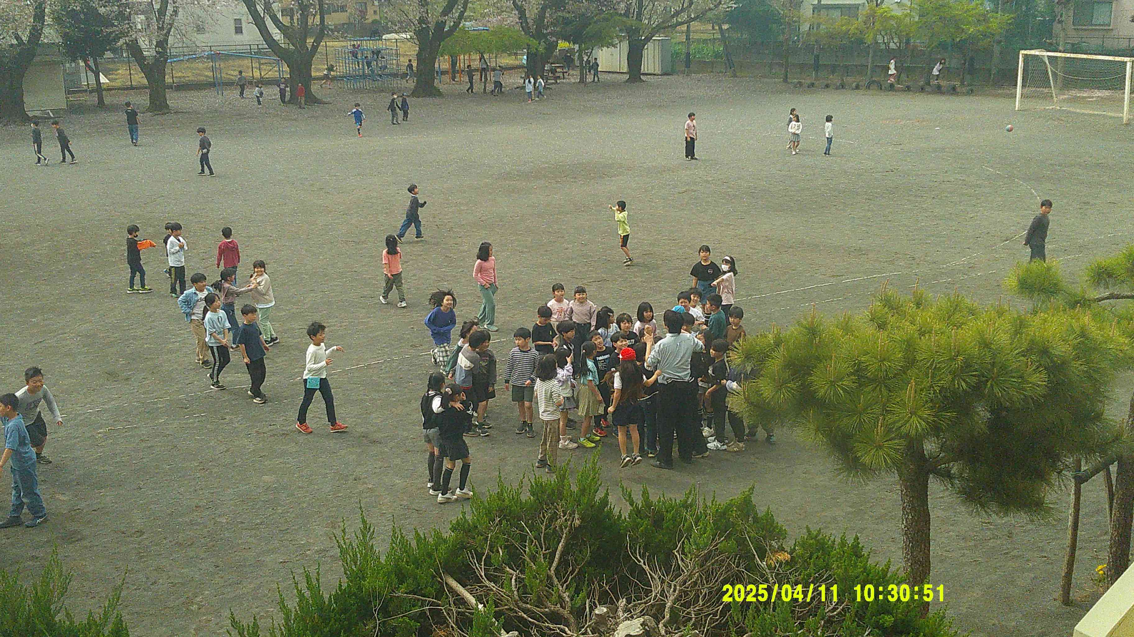 DSCF0733