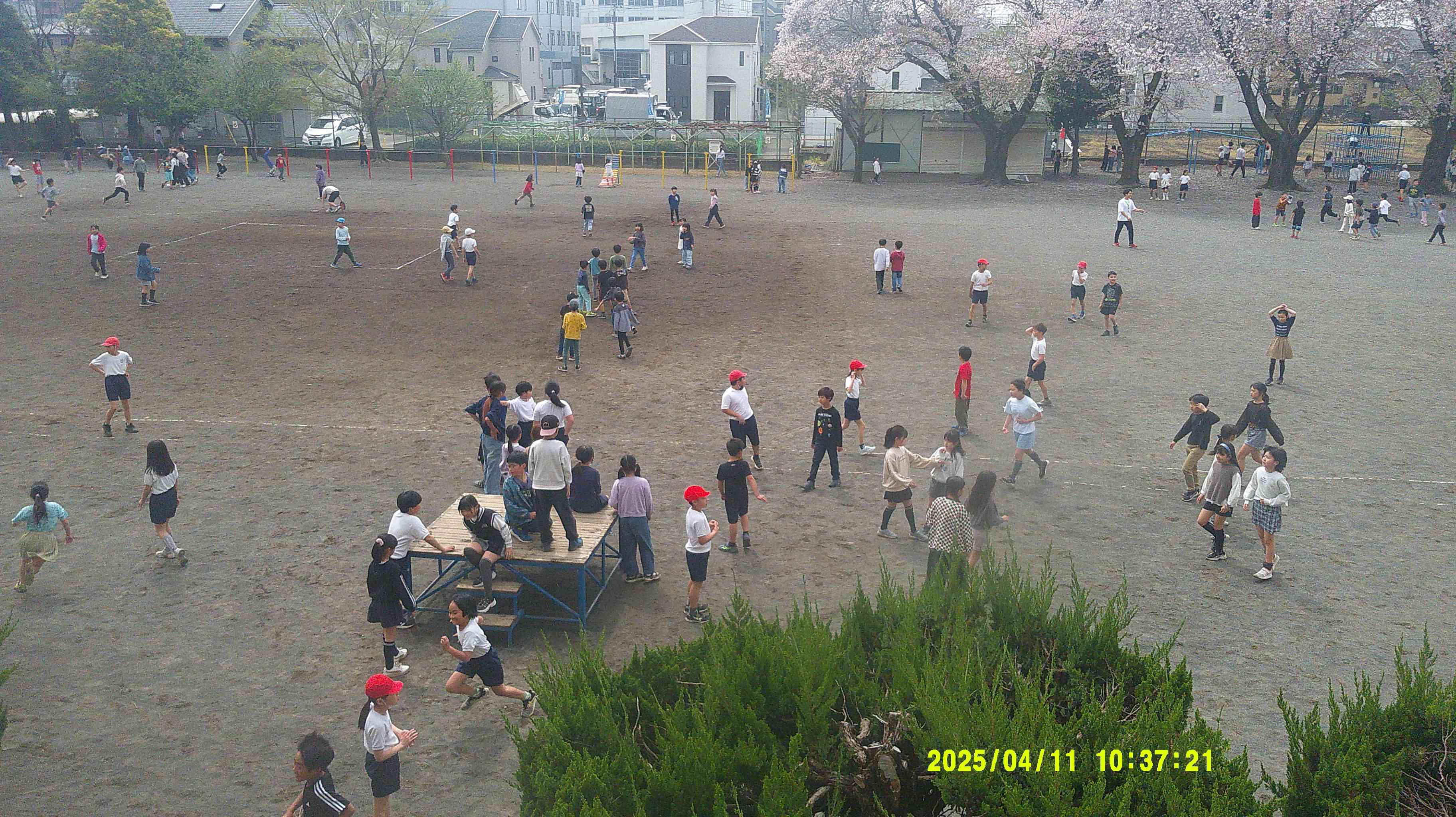 DSCF0734