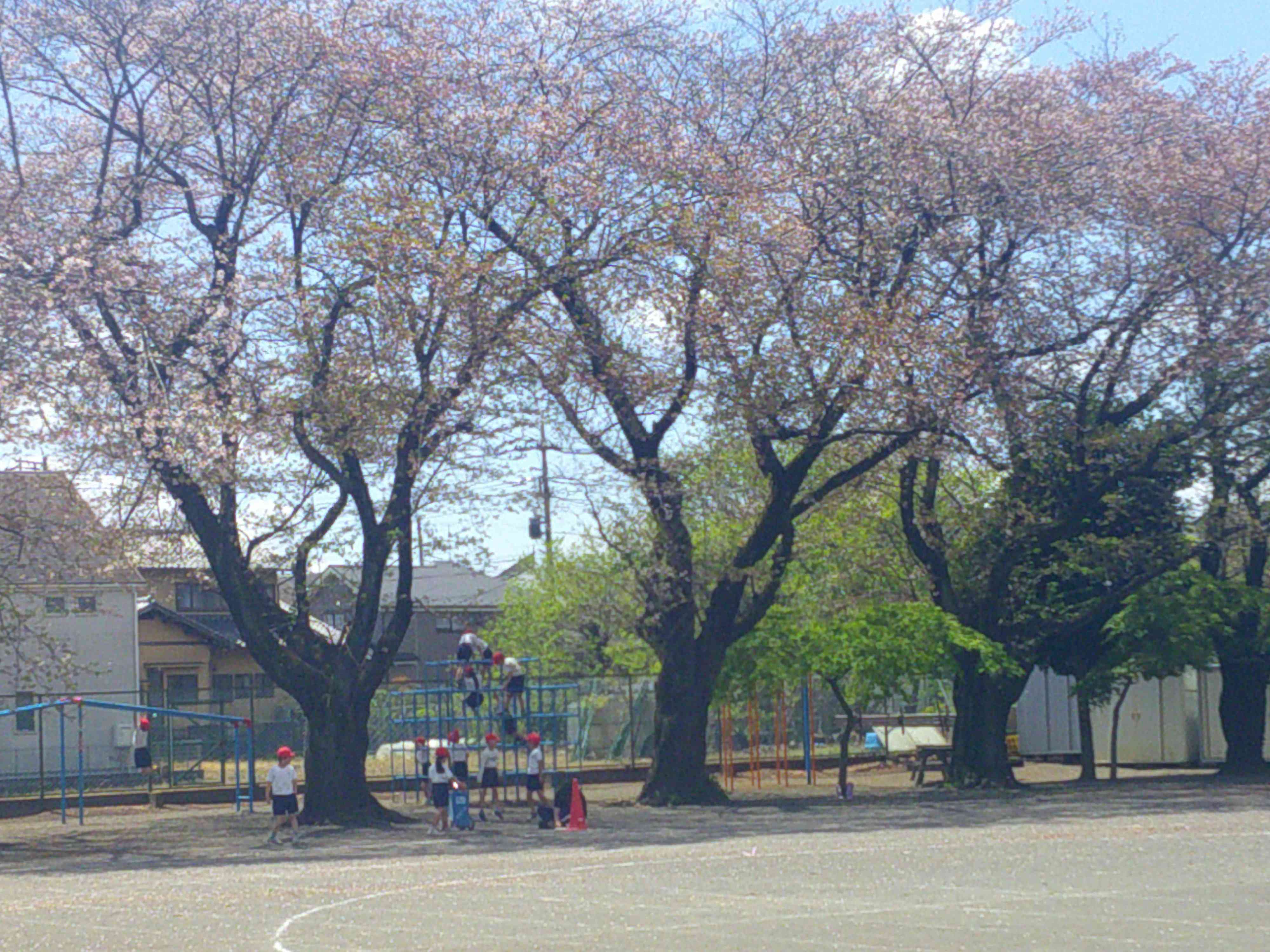 DSCF0028