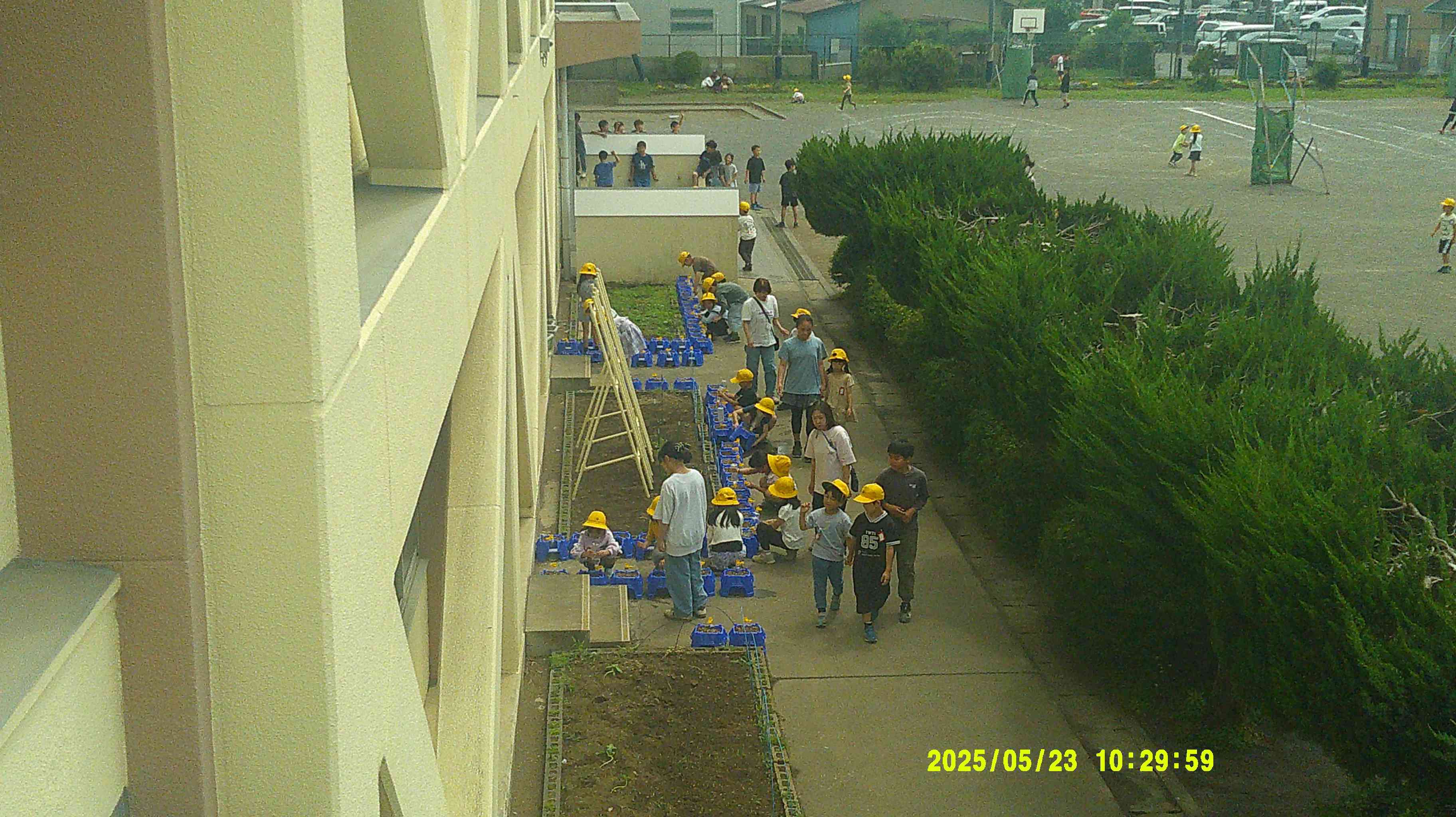 DSCF0904