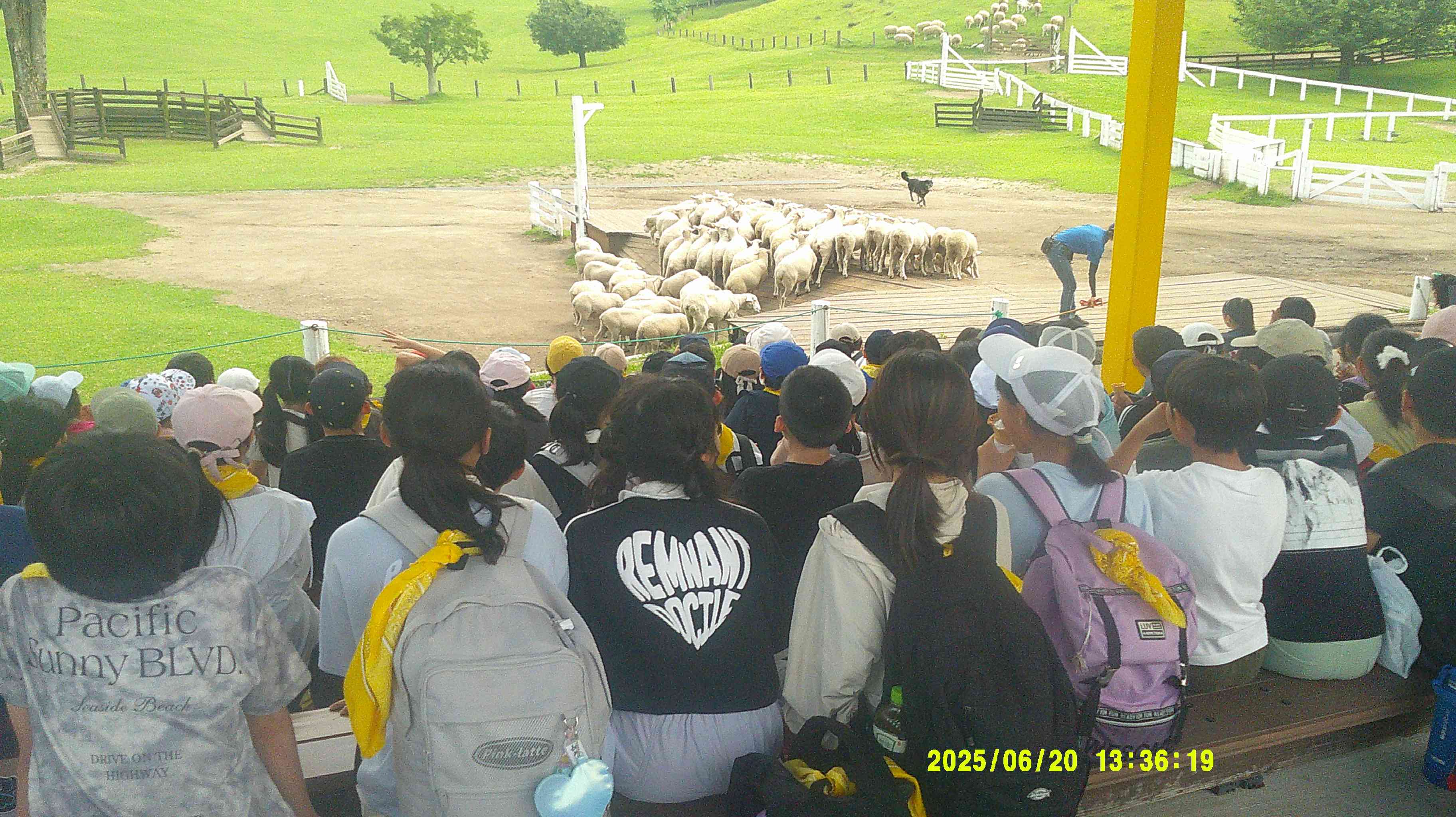 DSCF0127