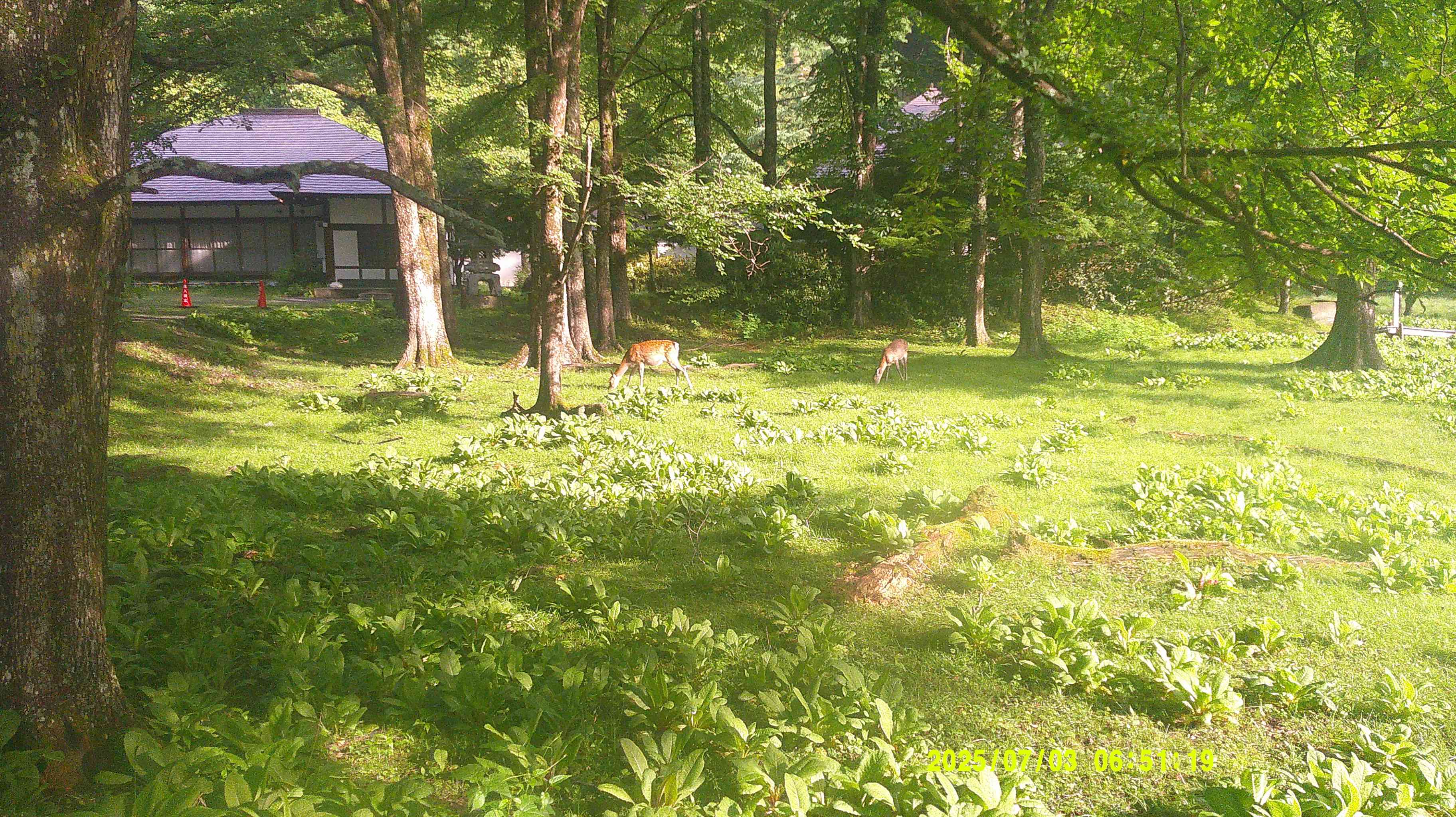 DSCF0374
