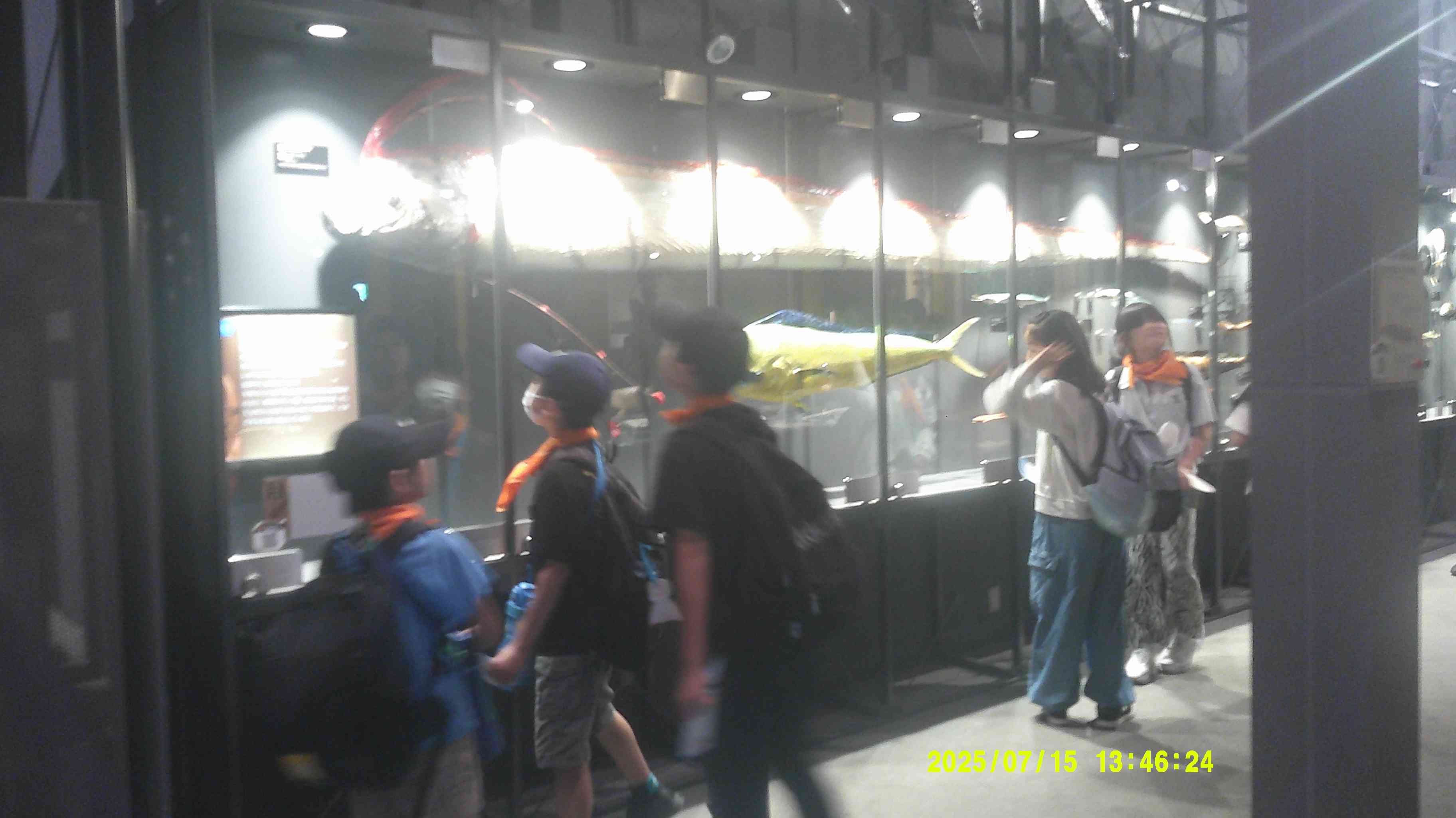 DSCF0484