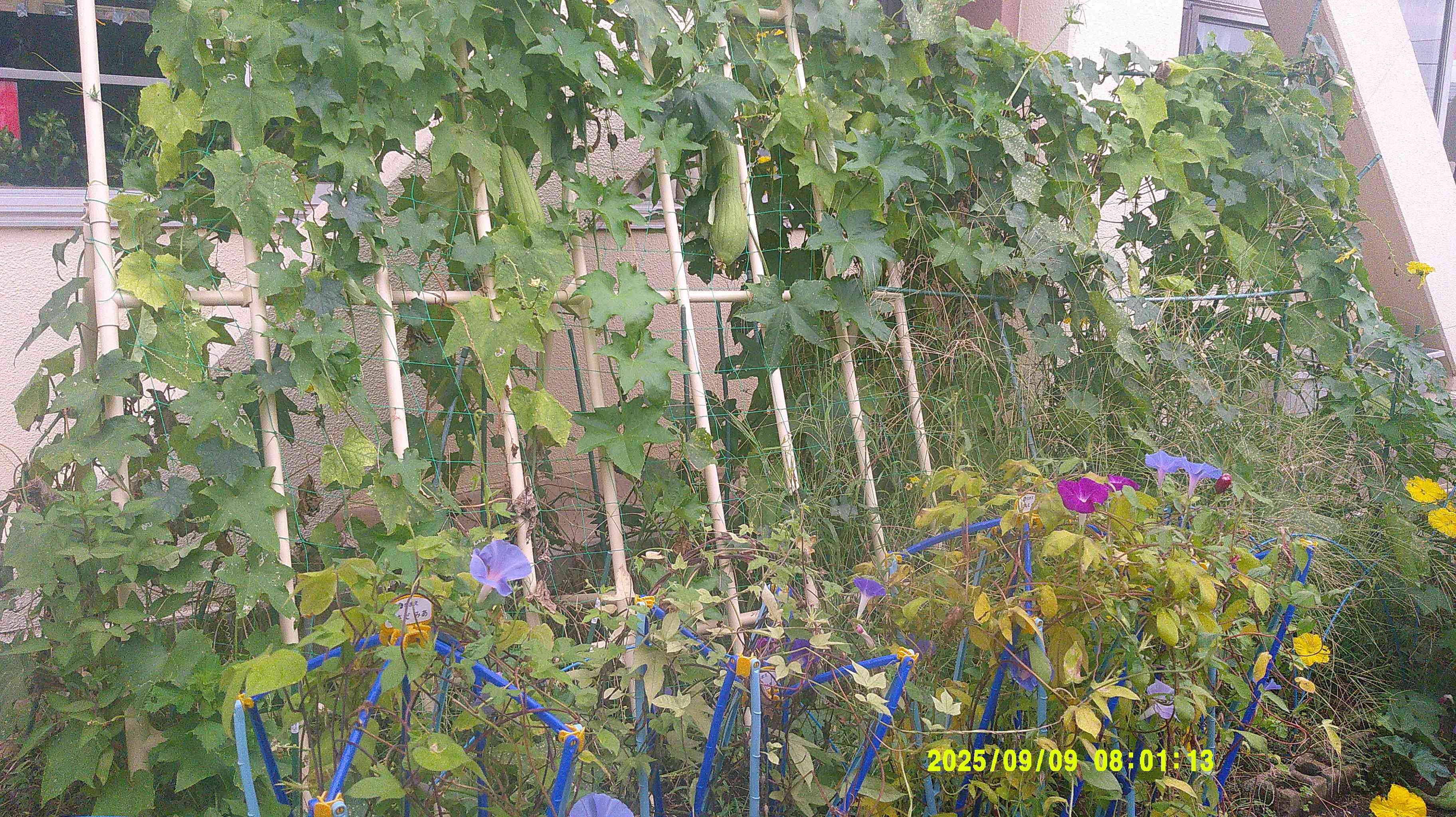 DSCF0645
