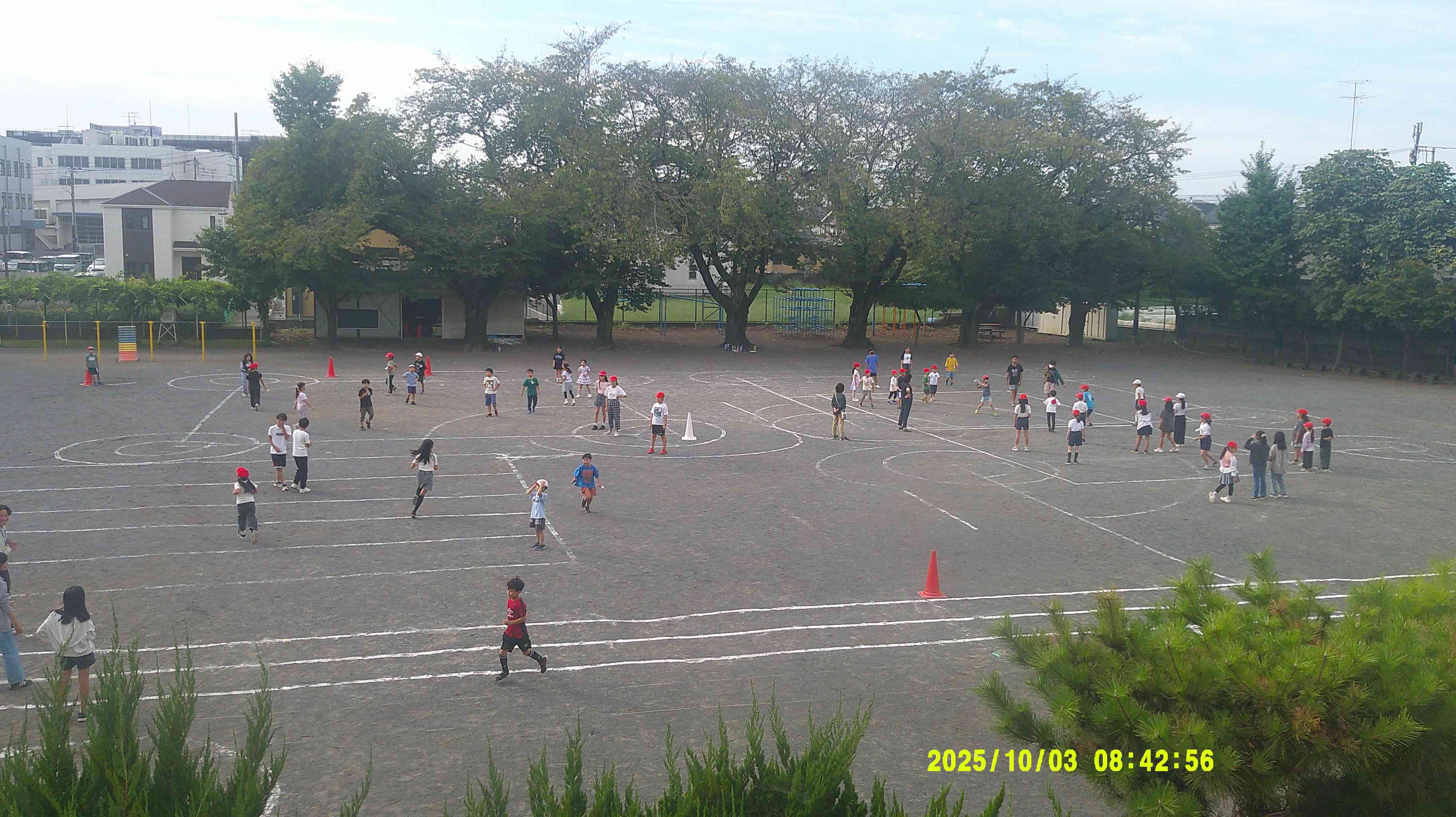 DSCF0873