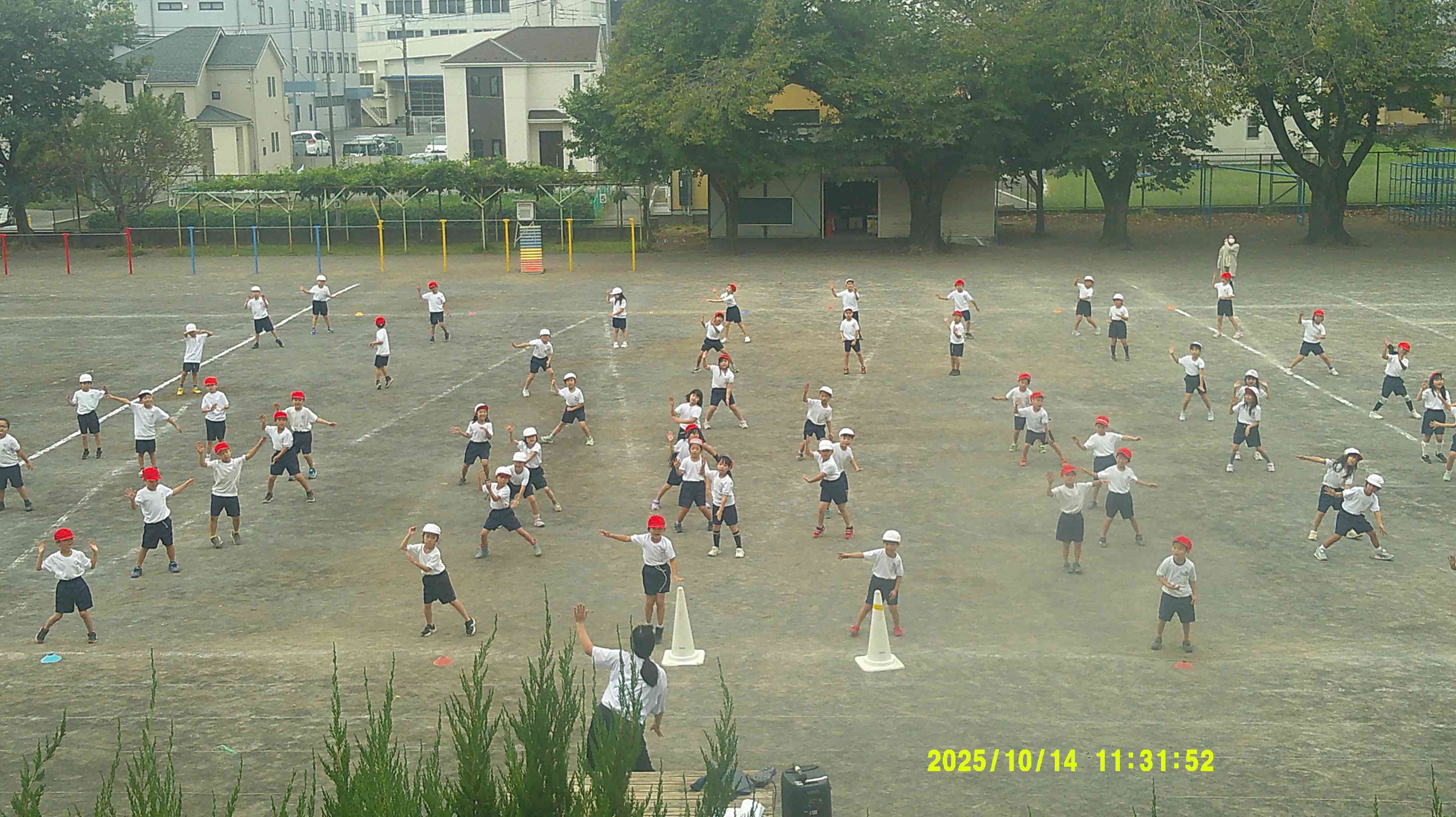 DSCF0914